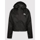 THE NORTH FACE Giacca Donna Cropped Quest NF0A55EP Nero Regular Fit
